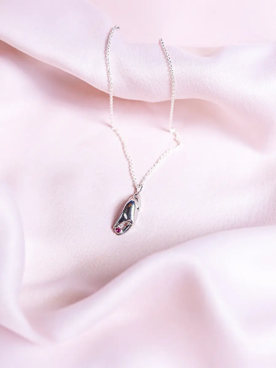 pince-de-crabe-sfeer-foto-4